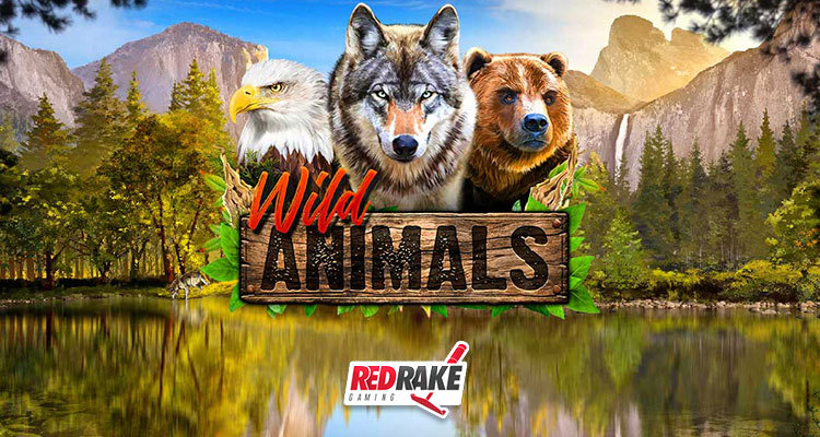 Become part of the pack in Red Rake Gaming’s new Wild Animals online slot game